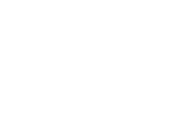 Logo aladin footer