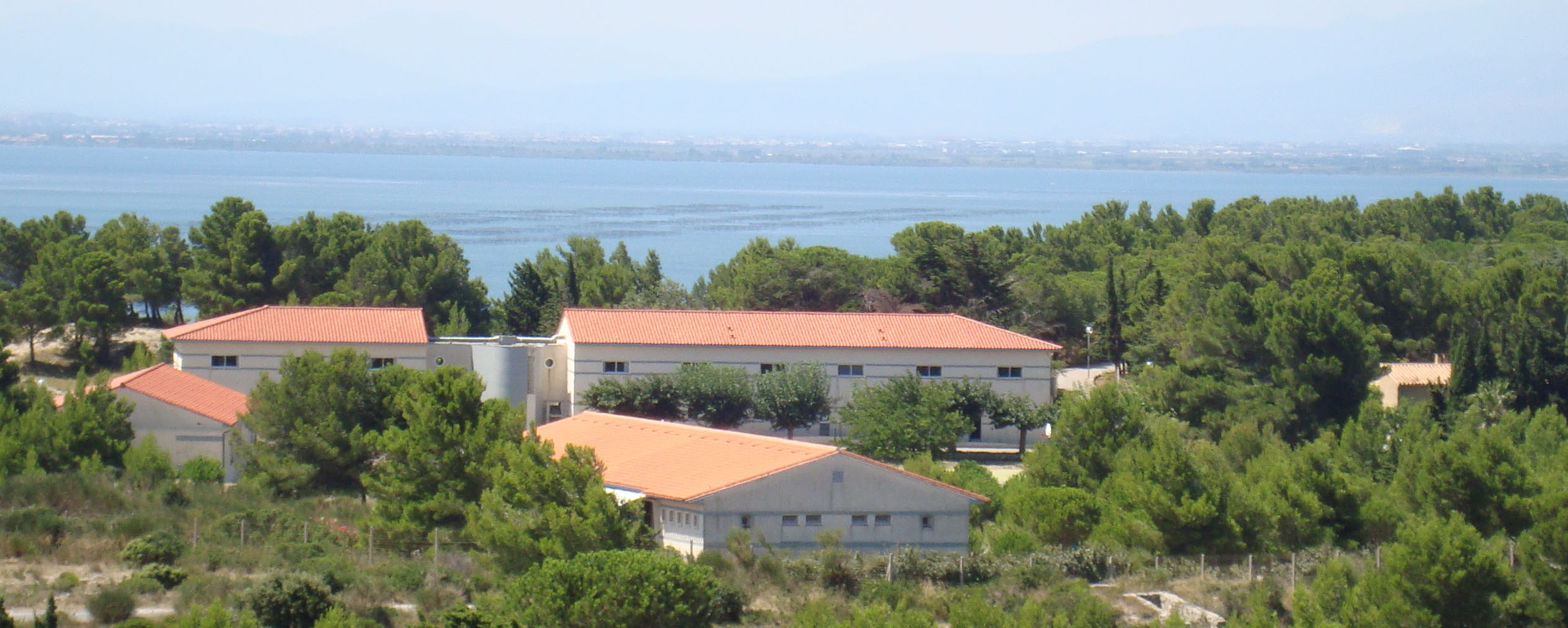 Image slider
